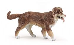 PAPO - BERGER AUSTRALIEN #54038